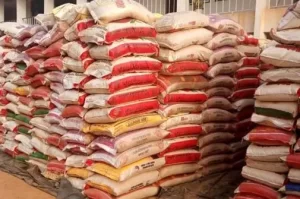 Planned Protest: FG begins sale of 50kg rice for N40,000