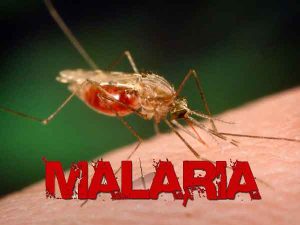 FG inaugurates ministerial taskforce on malaria elimination