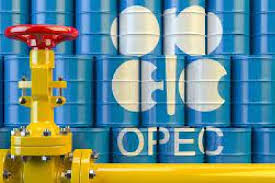 OPEC- World Oil Demand to Rise by 1.93 Million Barrels Per Day