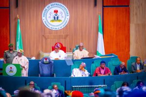 President Tinubu Presents N49.7 Trillion 2025 Budget to National Assembly