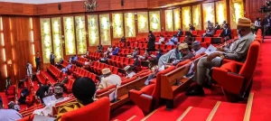 South East, South-South Senators calls for Wider Consultations on Controversial Tax Bill