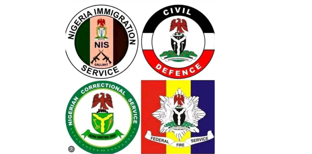 FG reopens recruitment portal for immigration, civil defence, others